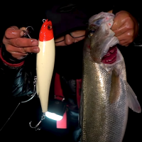 메가배스 메가독 220F 130g 부시리 파핑 다이빙펜슬