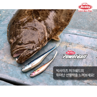 버클리 파워 저크쉐드 HD 7인치 18cm 광어 다운샷 웜