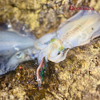 데스페라도 에기스타 우드 베이직 3호 오동목 에기 무늬오징어 에깅