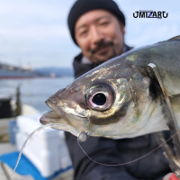 미자르 웨이브테일2 2.8인치 71mm 아징 전갱이웜 볼락 라이트게임