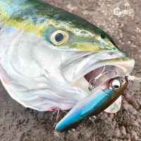 루디스 교고쿠펜 100 25g 농어 부시리 싱킹 펜슬