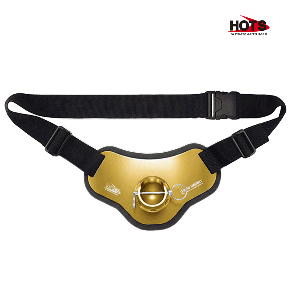 하츠 LT메탈 라이트벨트 타입2 골드 파이팅벨트