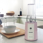 대원 맷돌 미니믹서 DWM-H270