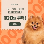 첫구매 100원 전제품 골라담기