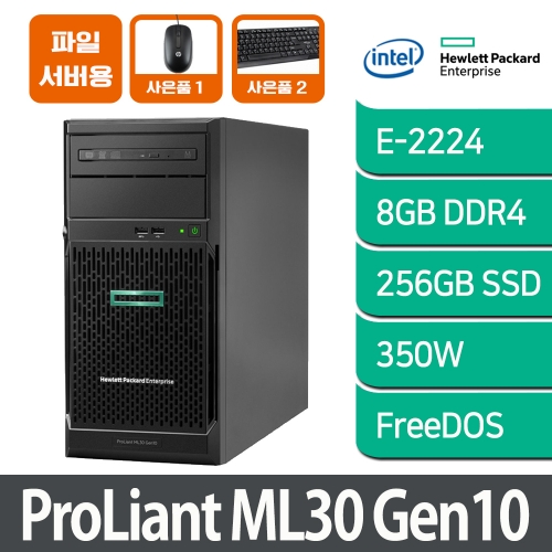 [파일서버 1] HPE ML30 Gen10 E-2224 8GB 256GB SSD FreeDos