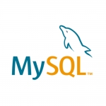 MySQL Standard Edition [1-4 socket server / 서브스크립션(1y)]