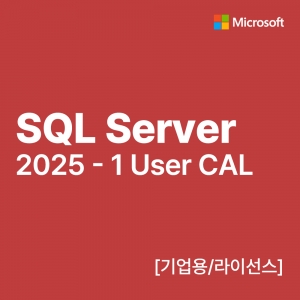 MS SQL Server 2025 - 1 User CAL