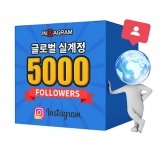 인스타그램 글로벌 팔로워 5000