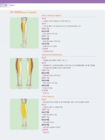 NASM 운동수행능력 향상 트레이닝  [ ★ 우수학술도서 ]  