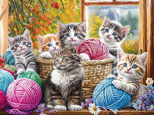 사랑스런 고양이