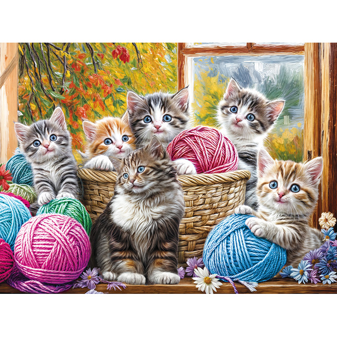 사랑스런 고양이