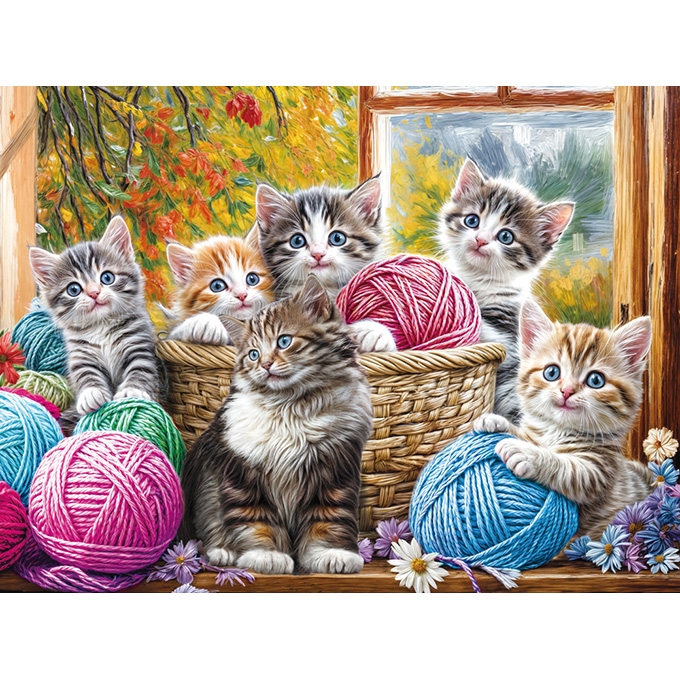 사랑스런 고양이