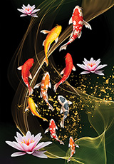 아홉 마리의 비단잉어 [미니]