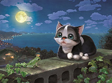 길냥이 키츠 - 희망의 한마리 고양이