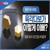 육각다보.png