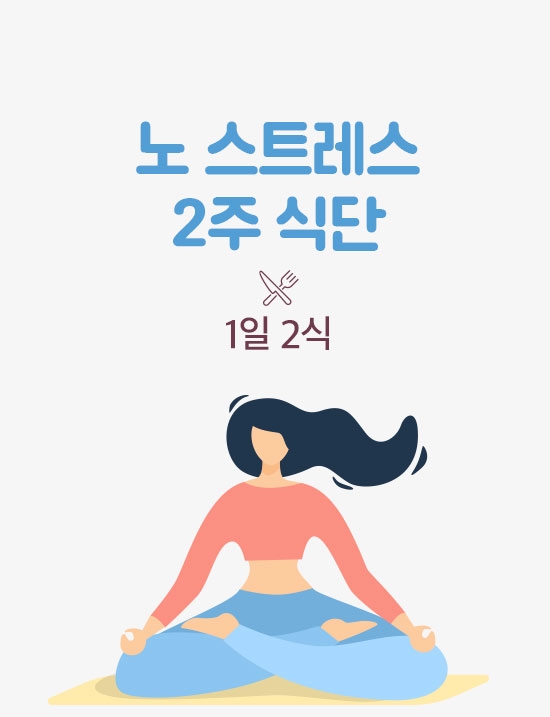 NO 스트레스 2주/1일2식