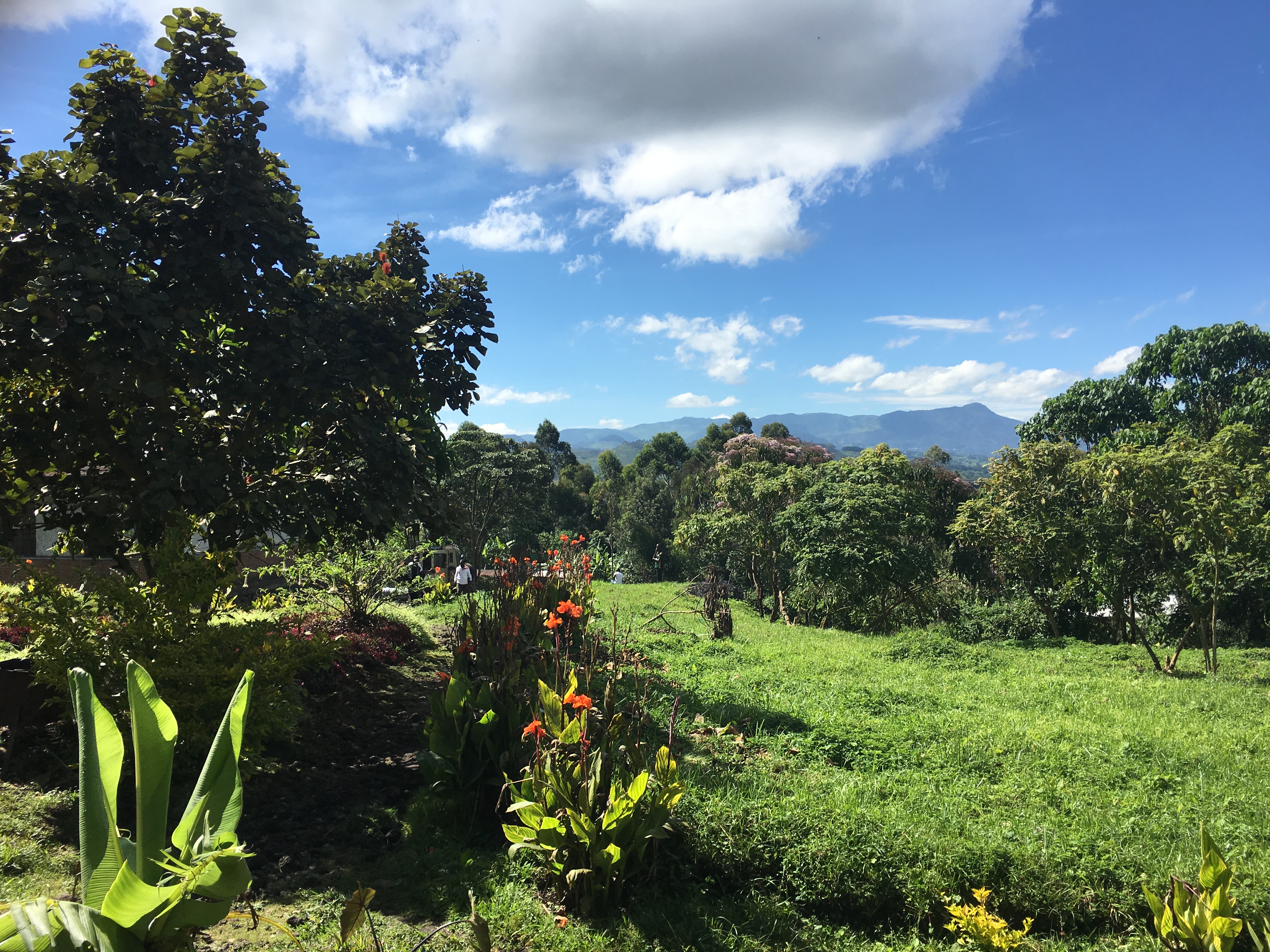 싱글오리진 멕시코 치아파스 공정무역 334g