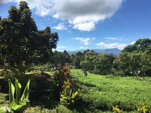 디카페인 콜롬비아 슈가케인