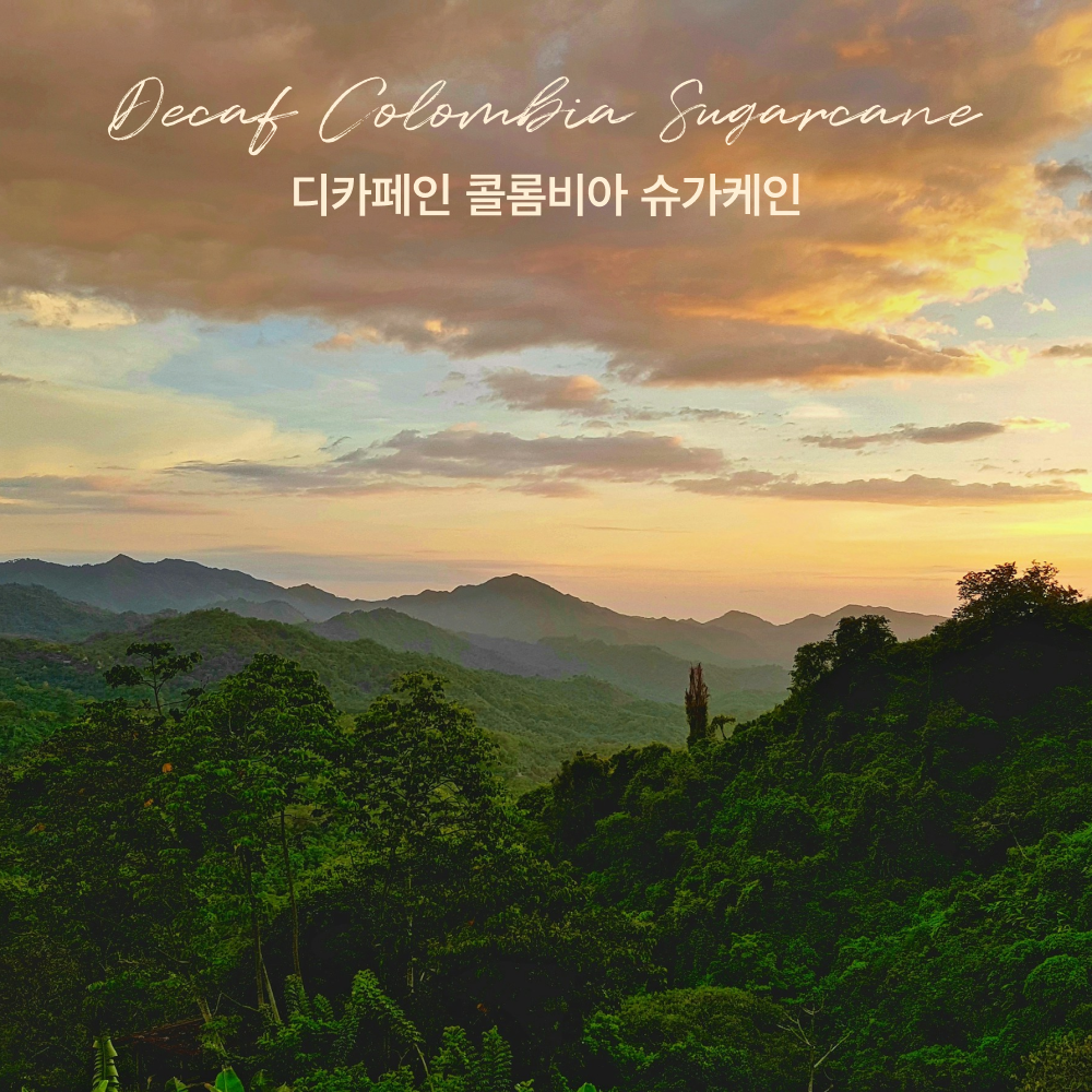 디카페인 콜롬비아 슈가케인