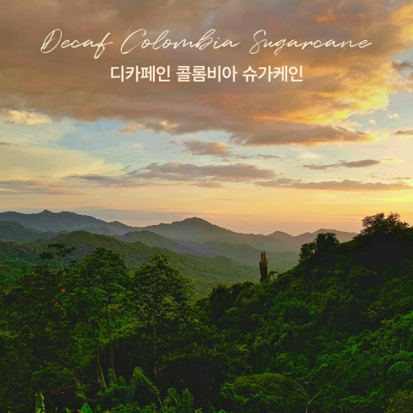 디카페인 콜롬비아 슈가케인