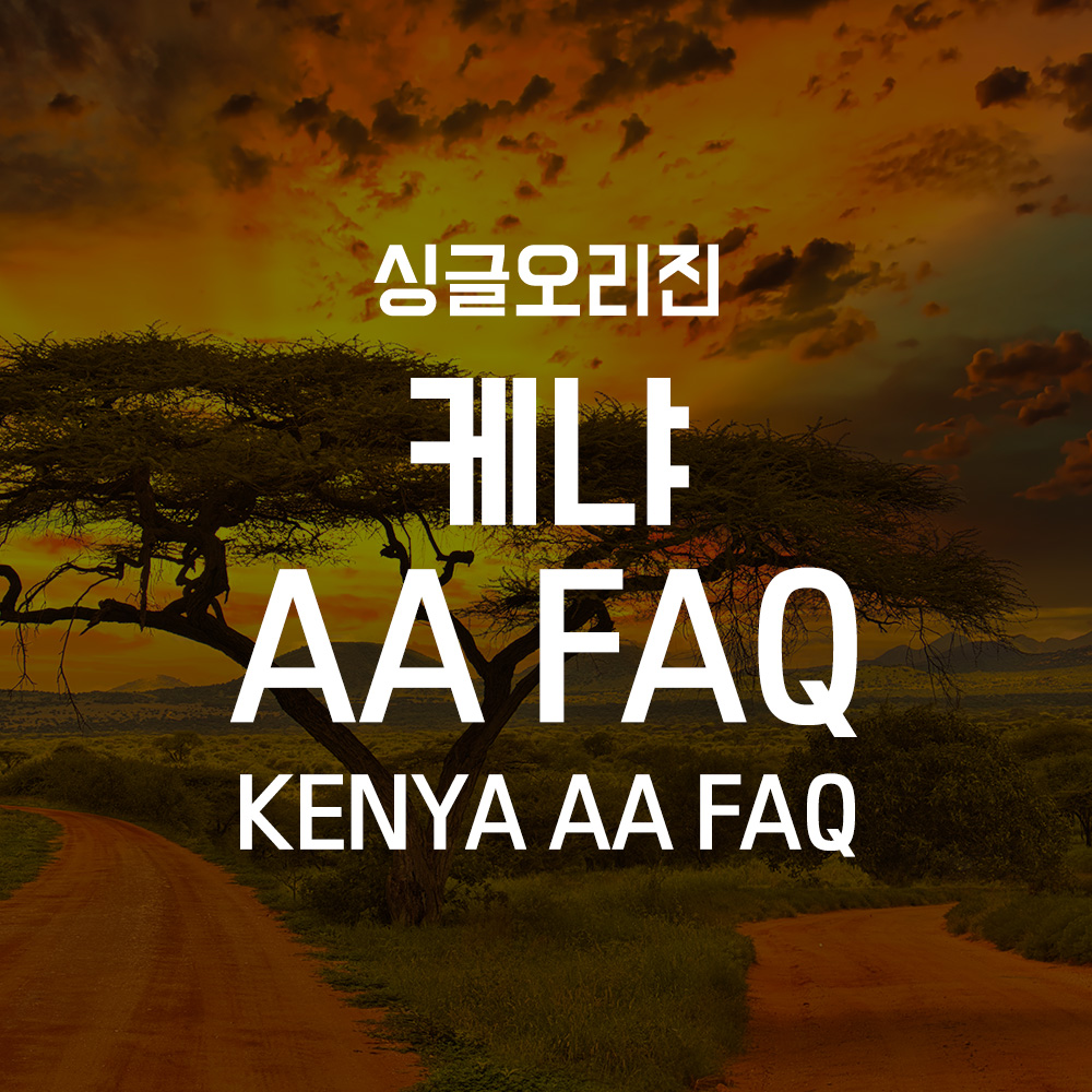 싱글오리진 케냐 FAQ AA 100g