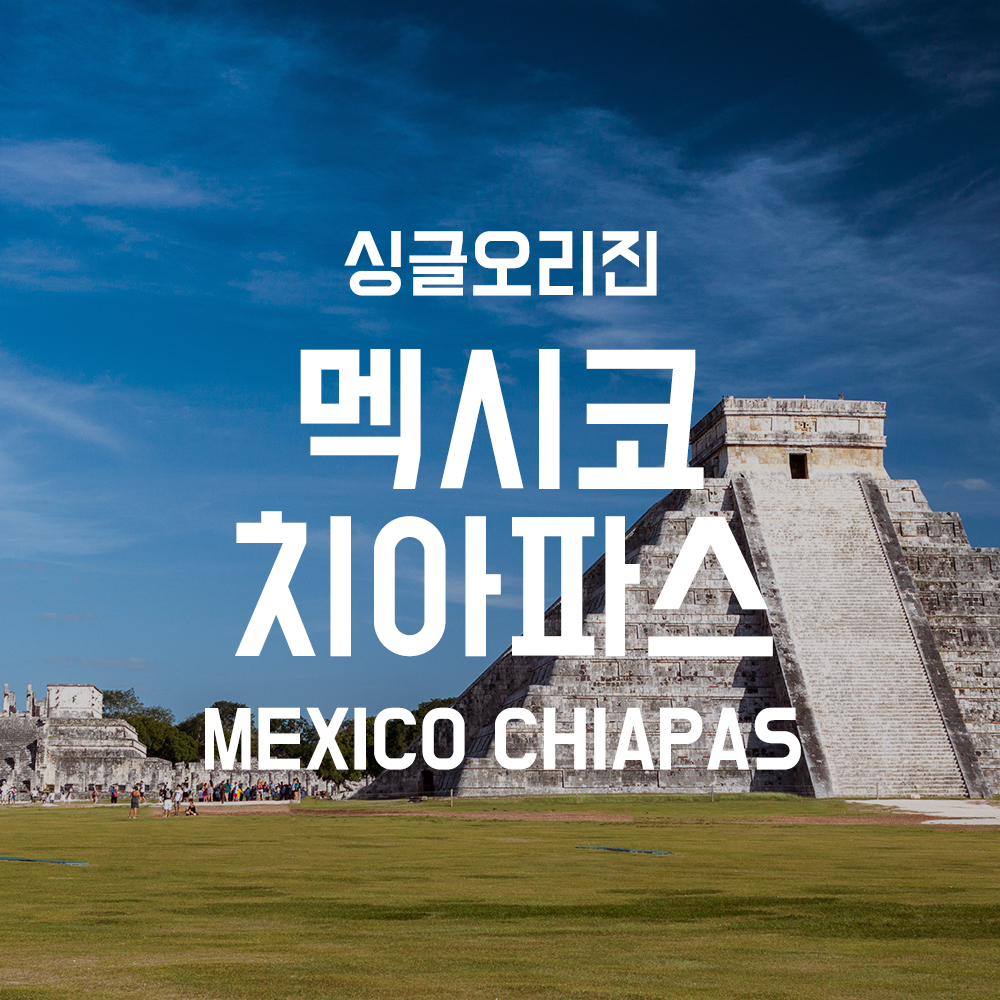 [1킬로커피 더블프] 멕시코 치아파스 1kg