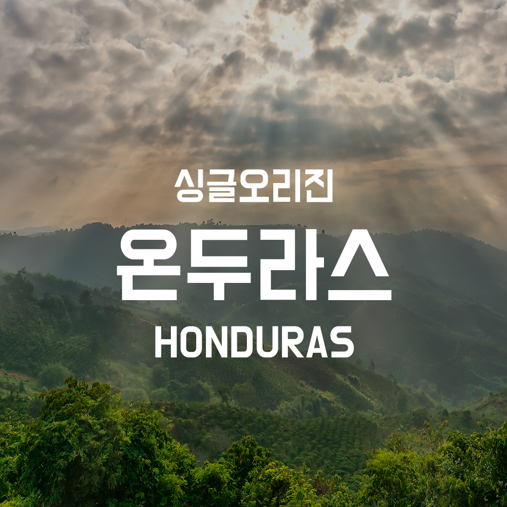[1킬로커피 더블프] 온두라스 SHG 1kg