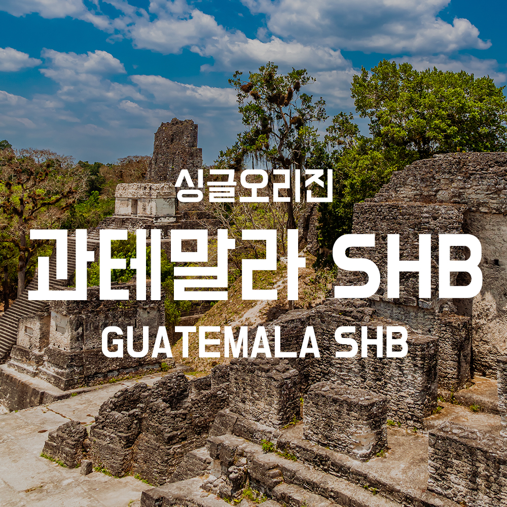 [1킬로커피 더블프] 과테말라 SHB 1kg