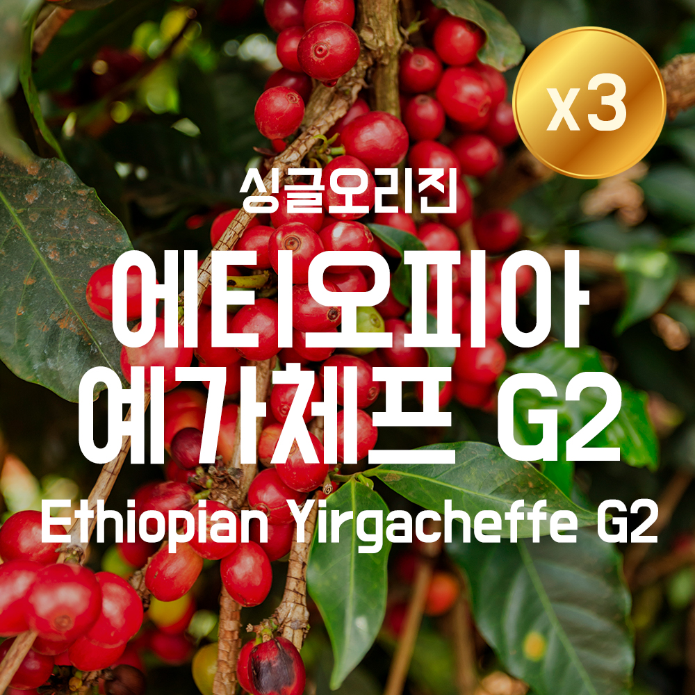 [1킬로커피 더블프] [더싼1킬로3개]에티오피아 예가체프 G2
