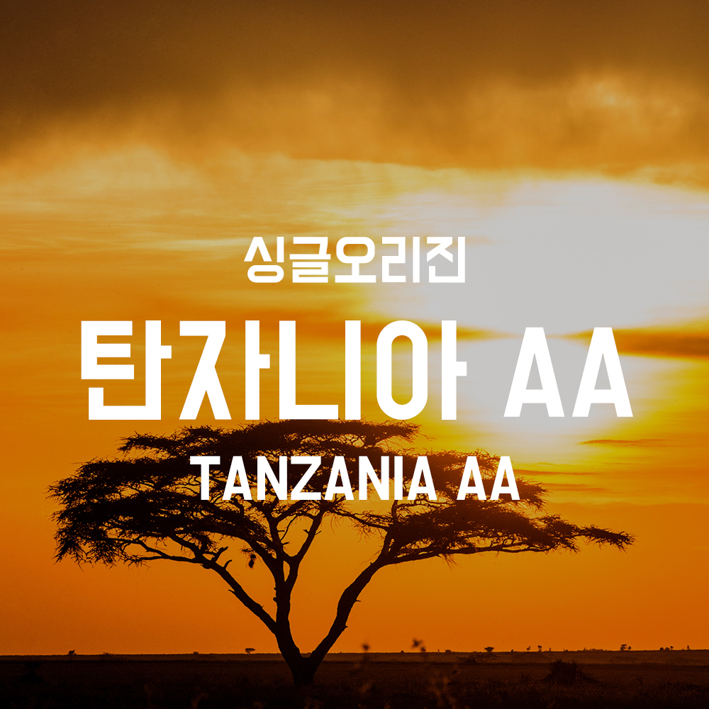 싱글오리진 탄자니아AA