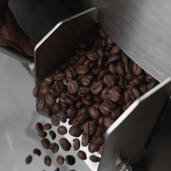 [더싼1킬로3개]싱글오리진 탄자니아AA