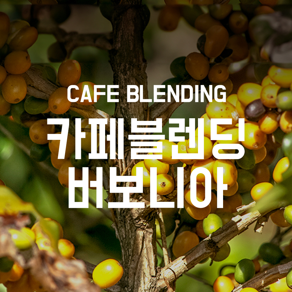카페 블렌딩 버보니아