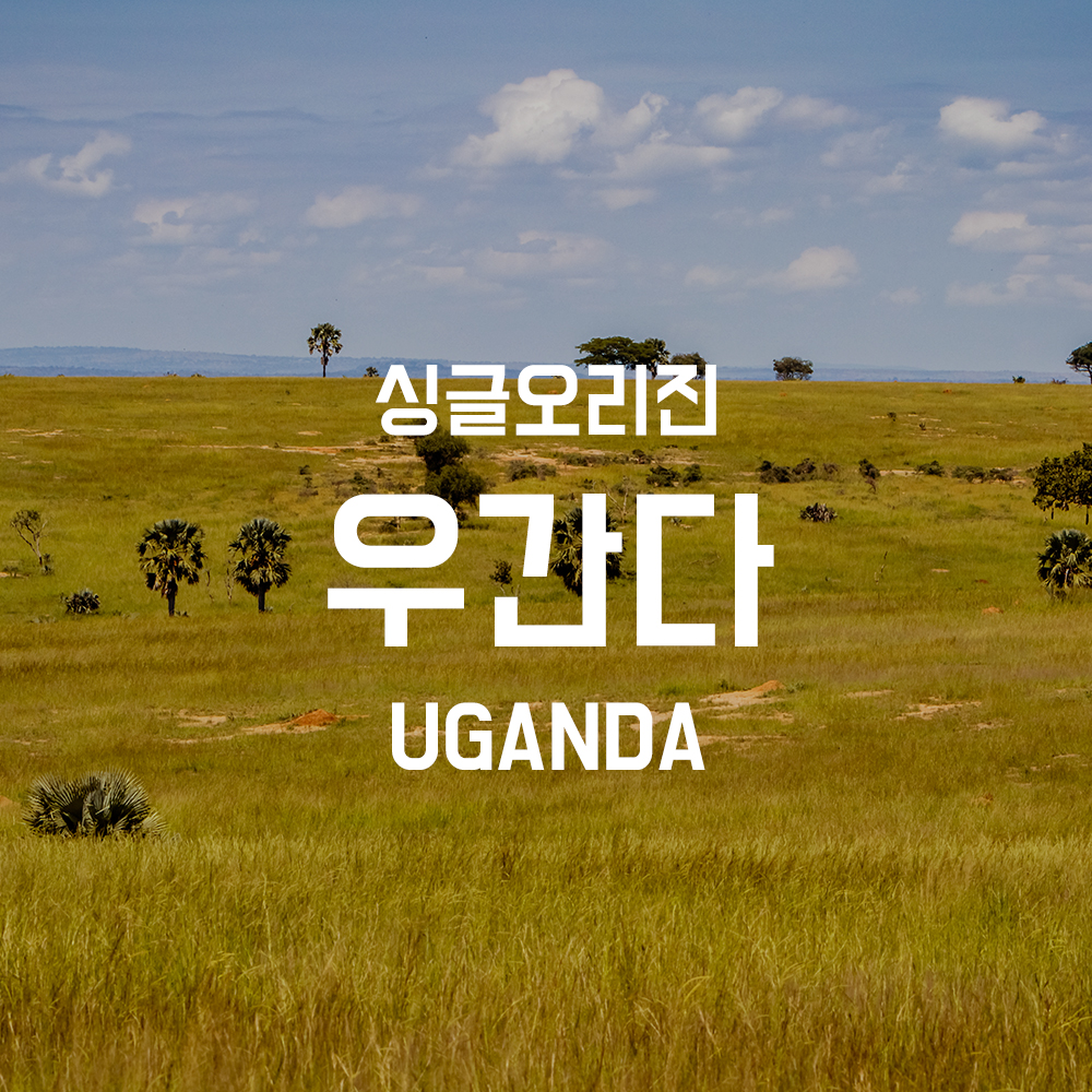 싱글오리진 우간다