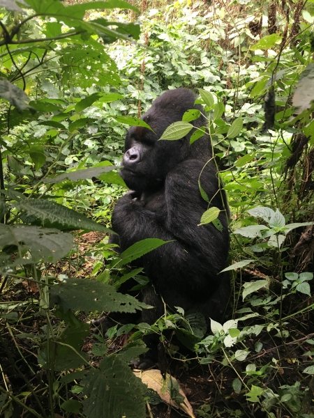 싱글오리진 우간다