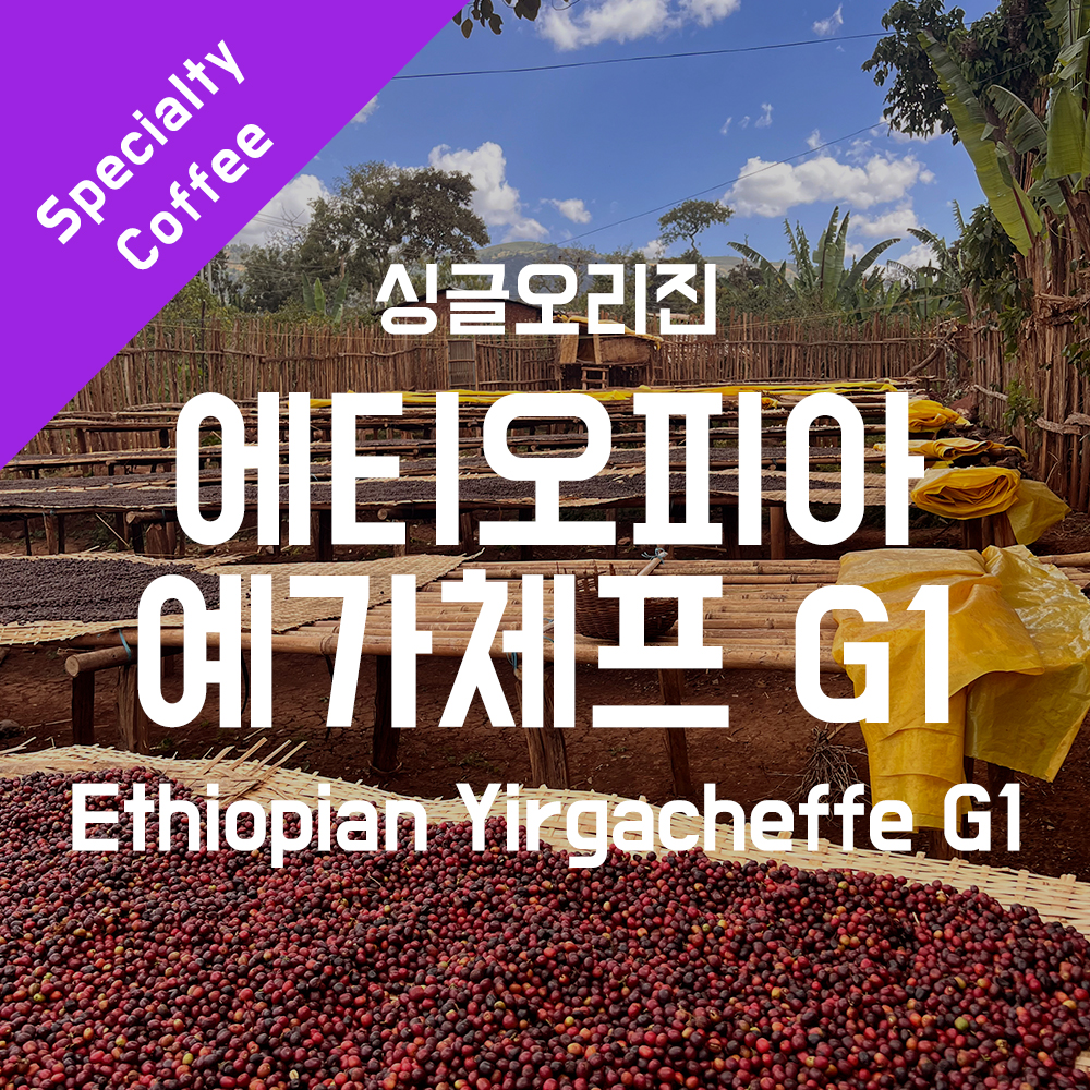 싱글오리진 에티오피아 예가체프 G1