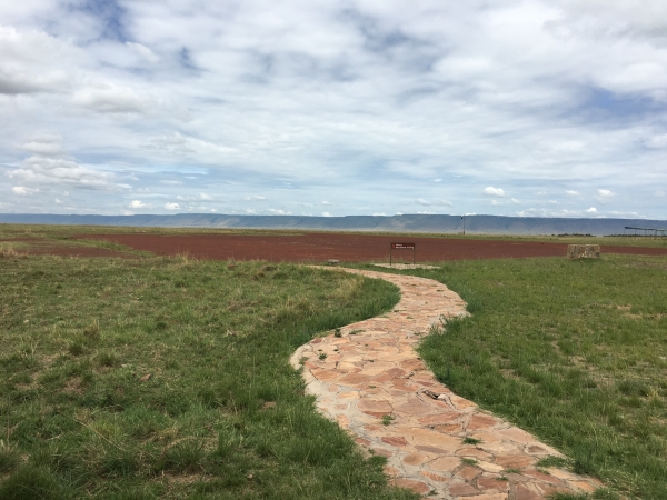 싱글오리진 르완다 공정무역