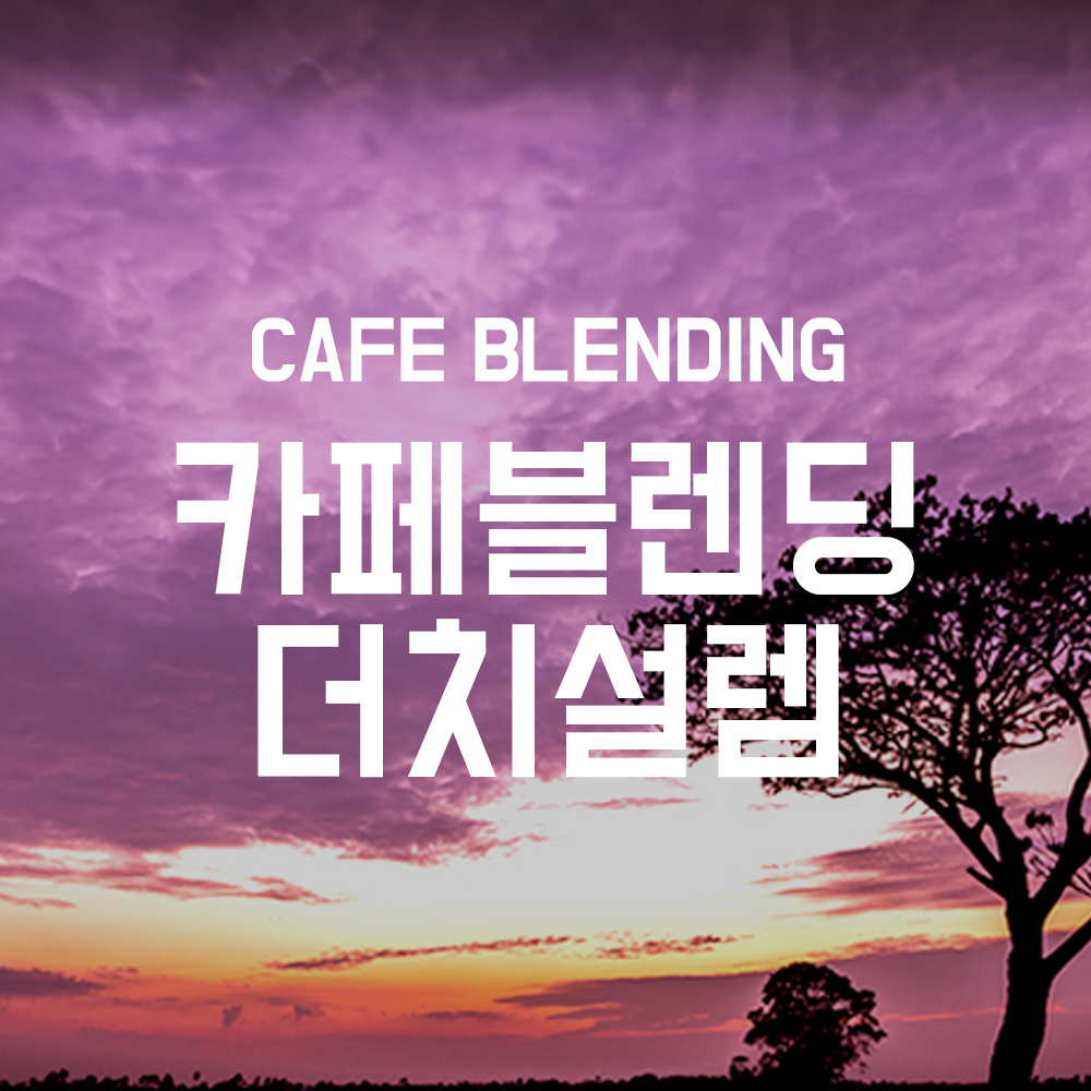 [더싼1킬로3개]카페블렌딩 더치 설렘