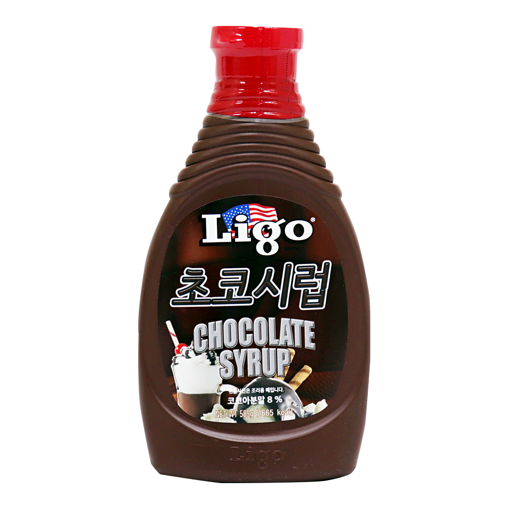 리고 초코시럽 585g