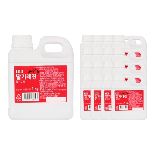 선인 딸기레진 1kg