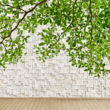 벽에핀나무 포인트벽지&시트지