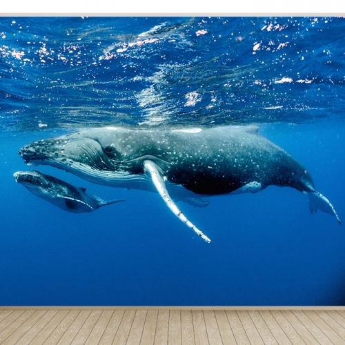 고래08 뮤럴벽지&시트지