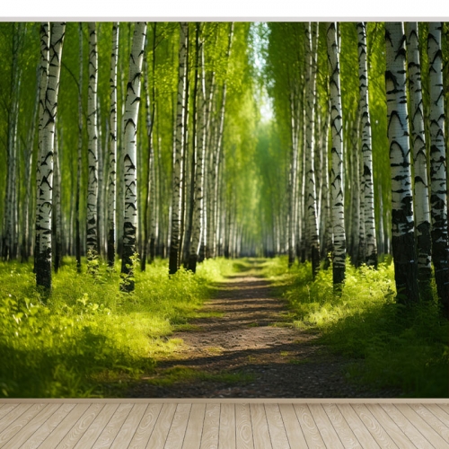 자작나무14 데코벽지&시트지