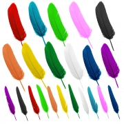 거위깃털 (소)/(대) 새깃털 칼라(약 50개) 혼합(약 10개) 소품만들기 꾸미기재료