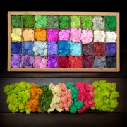 칼라모스 천연이끼 이끼모스 원예 DIY 테라리움 습기조절 공기정화 36색