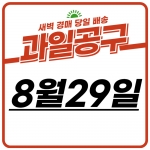 ★반포★ 과일 공구 (8월29일 목요일)