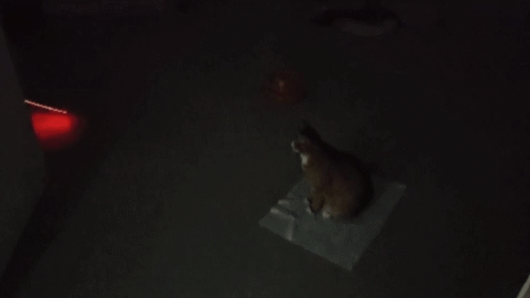 GIF 2024-03-05 오후 5-43-40.gif