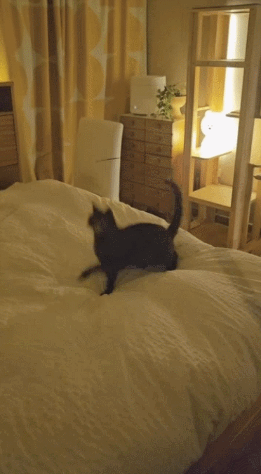 GIF 2024-03-05 오후 5-57-18.gif