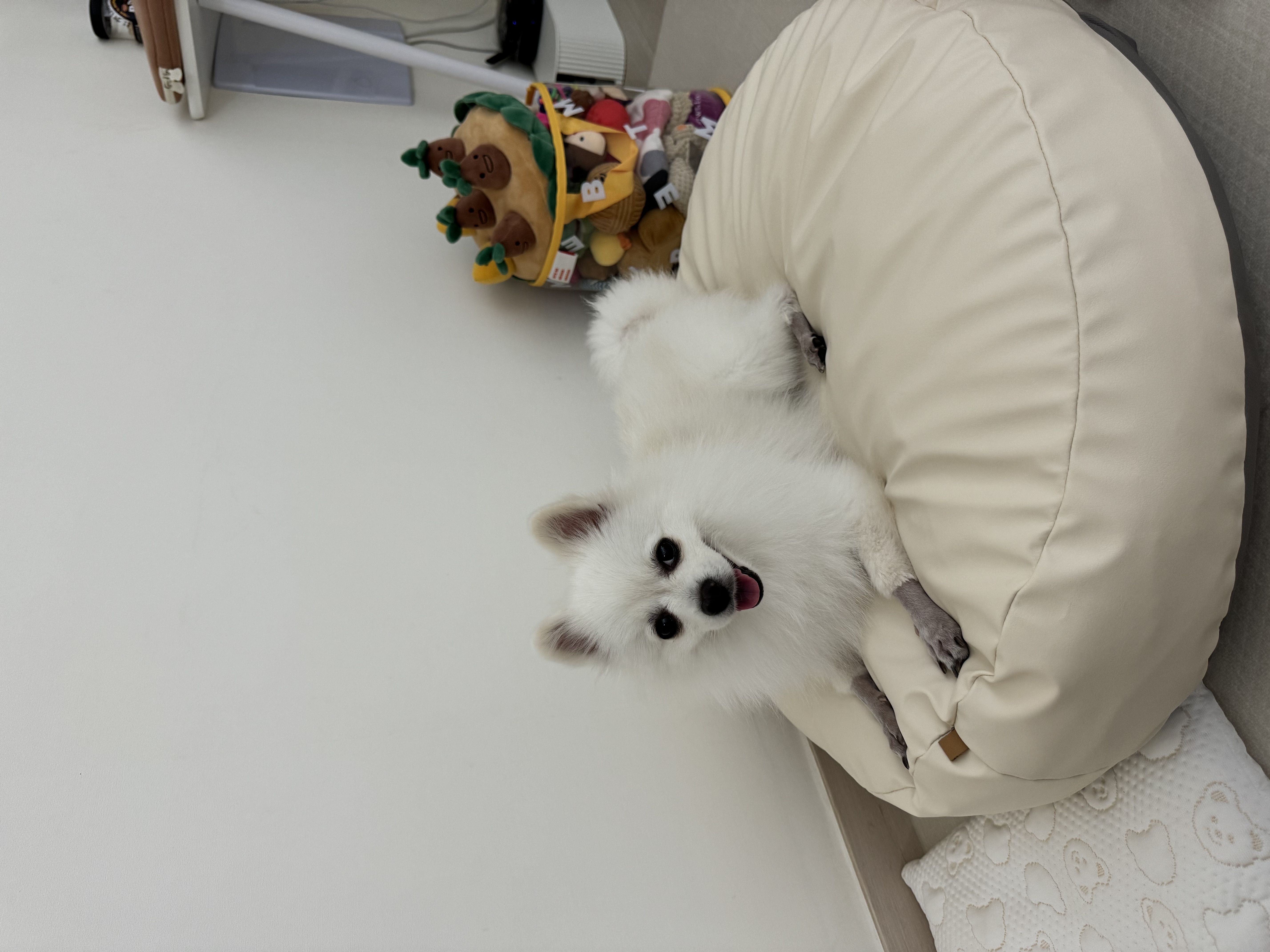 KakaoTalk_20240911_184506181_03.jpg