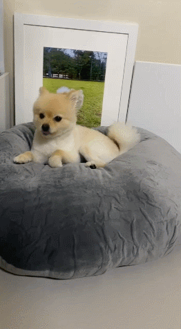GIF 2024-09-09 오전 9-50-57.gif