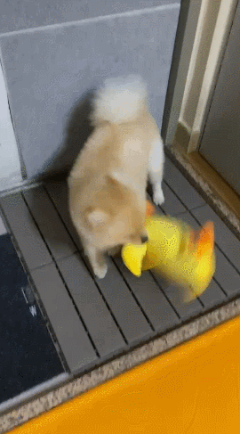GIF 2024-10-07 오후 2-30-16.gif
